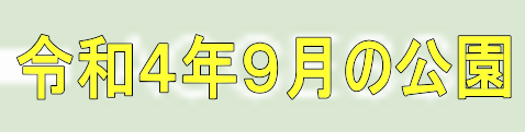 令和４年９月の公園