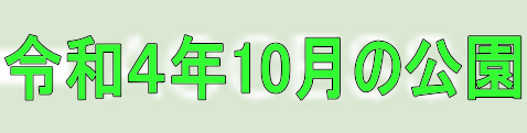 令和４年10月の公園