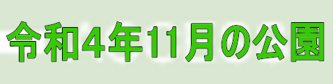 令和４年11月の公園