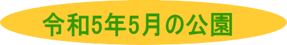 令和４年11月の公園