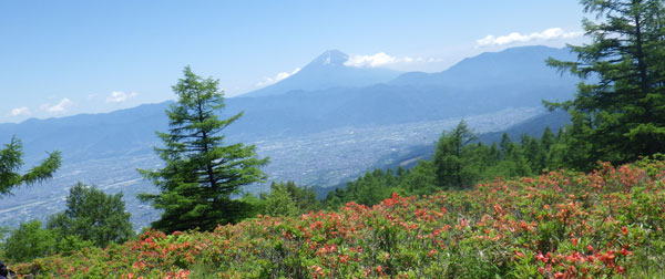 甘利山からの富士山　遠望　へ