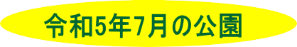 令和５年７月の公園