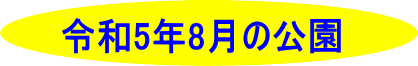 令和５年8月の公園