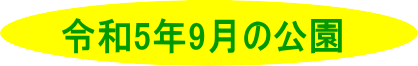 令和５年8月の公園