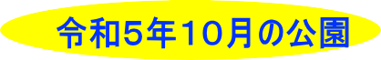 令和５年１０月の公園