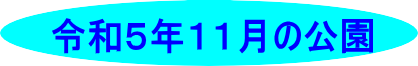 令和５年１０月の公園