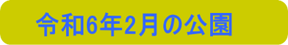 令和6年2月の公園