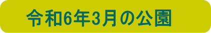 令和6年2月の公園