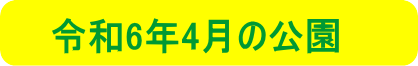 令和6年2月の公園