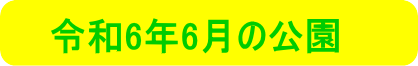 令和6年2月の公園