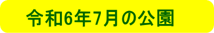 令和6年2月の公園