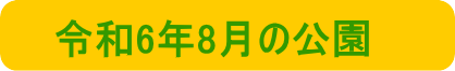 令和6年2月の公園