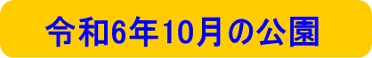 令和6年2月の公園