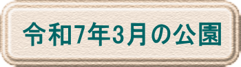 令和6年2月の公園
