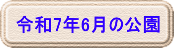 令和6年2月の公園