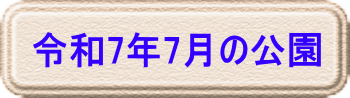 令和6年2月の公園