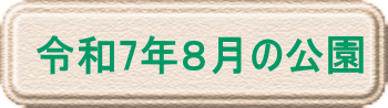 令和6年2月の公園
