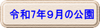 令和6年2月の公園