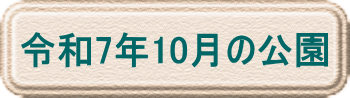令和6年2月の公園