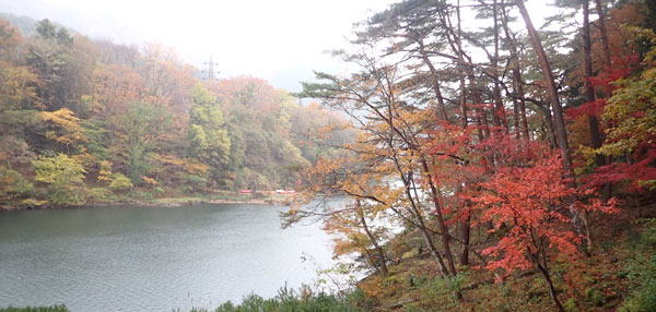 南平山の紅葉　へ