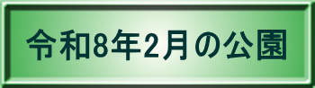 令和8年2月の公園