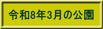 令和8年2月の公園