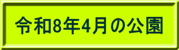令和8年4月の公園