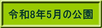 令和8年4月の公園