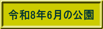 令和8年4月の公園
