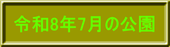 令和8年4月の公園