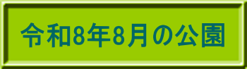 令和8年4月の公園