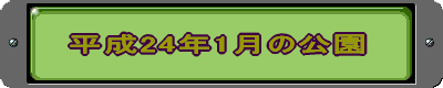 平成24年1月の公園