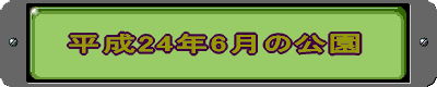 平成24年6月の公園 