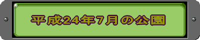 平成24年7月の公園 