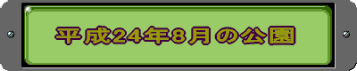 平成24年8月の公園 