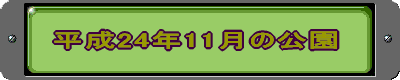 平成24年11月の公園 