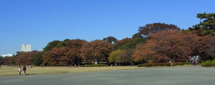 新宿御苑の紅葉　へ