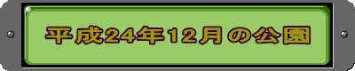 平成24年12月の公園