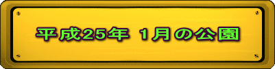 平成25年 1月の公園