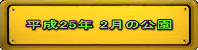 平成25年 2月の公園