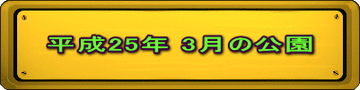 平成25年 3月の公園