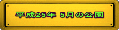 平成25年 5月の公園