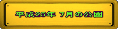 平成25年 7月の公園