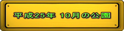 平成25年 10月の公園