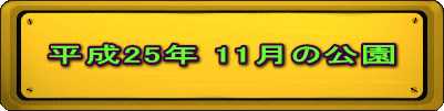 平成25年 11月の公園