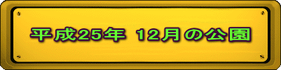 平成25年 12月の公園