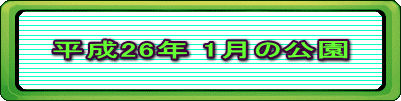 平成26年 1月の公園