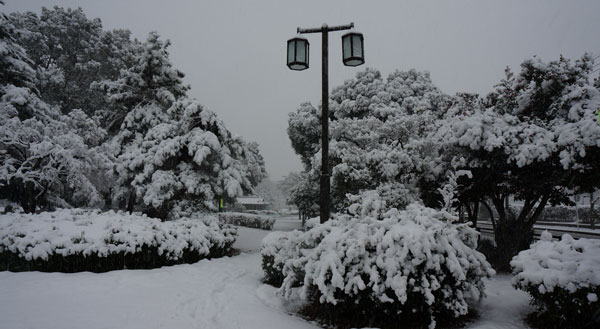 雪の公園へ