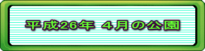 平成26年 ４月の公園