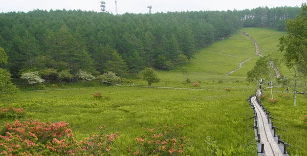 入笠湿原　へ